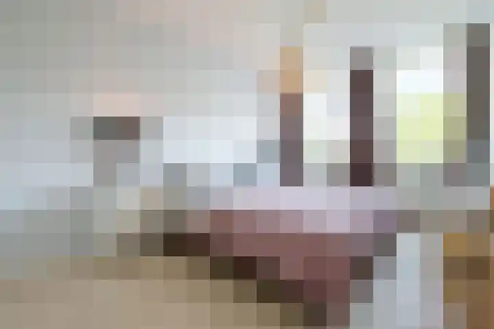 Harry Banninkstraat 35 Utrecht thumbnail 10