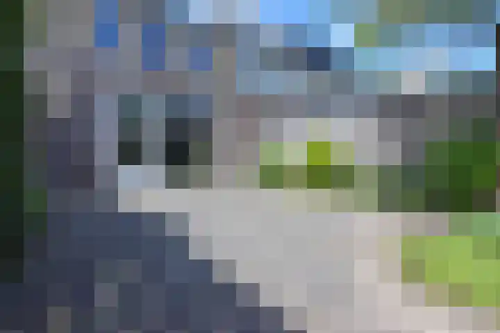 Harry Banninkstraat 79 Utrecht thumbnail 22