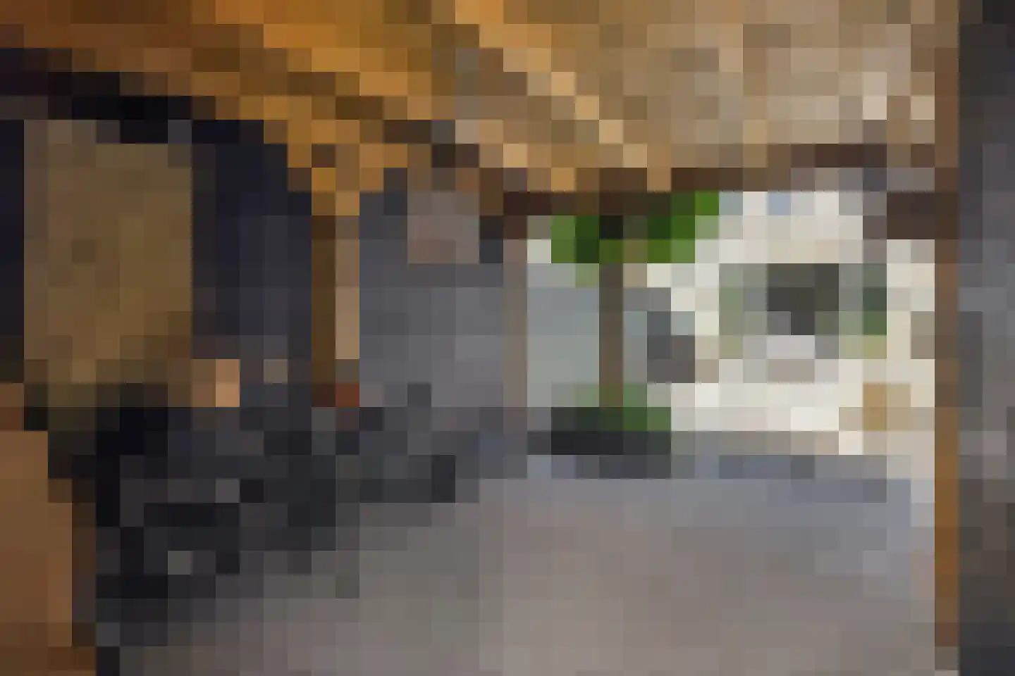 Harry Banninkstraat 81 Utrecht thumbnail 19