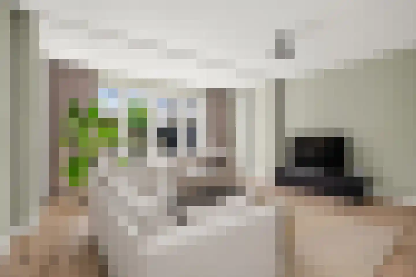 Harry Banninkstraat 81 Utrecht thumbnail 8