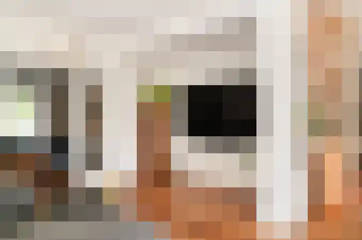 Harry Bolsiuslaan 8 Schijndel thumbnail 11