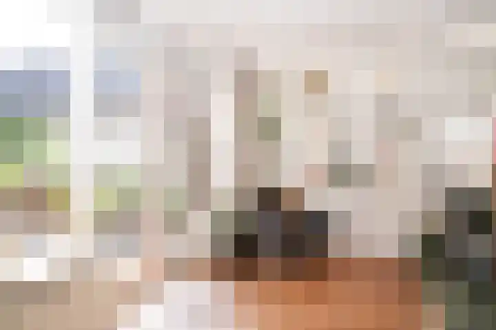 Harry Bolsiuslaan 8 Schijndel thumbnail 12