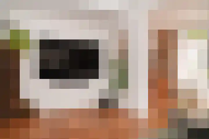 Harry Bolsiuslaan 8 Schijndel thumbnail 14