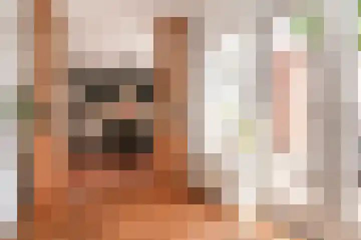 Harry Bolsiuslaan 8 Schijndel thumbnail 15