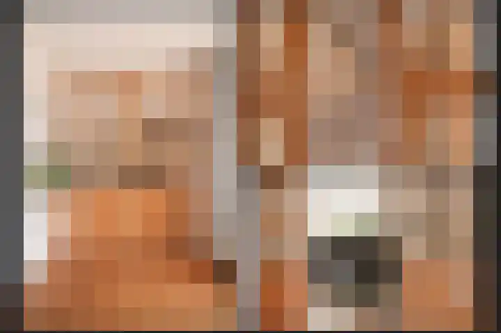 Harry Bolsiuslaan 8 Schijndel thumbnail 16