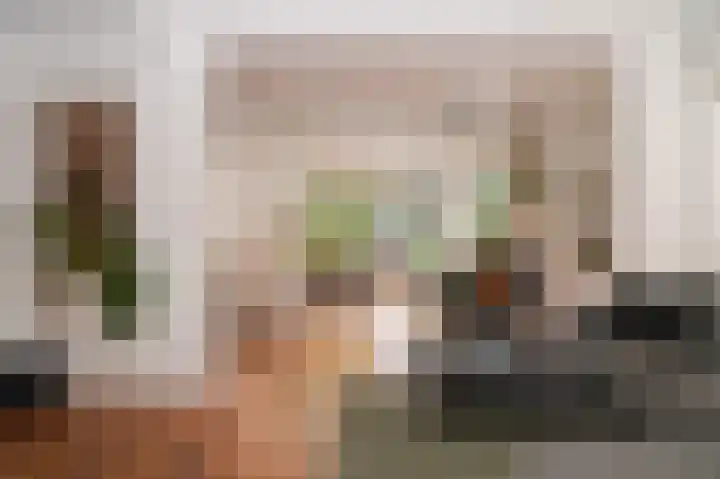 Harry Bolsiuslaan 8 Schijndel thumbnail 17