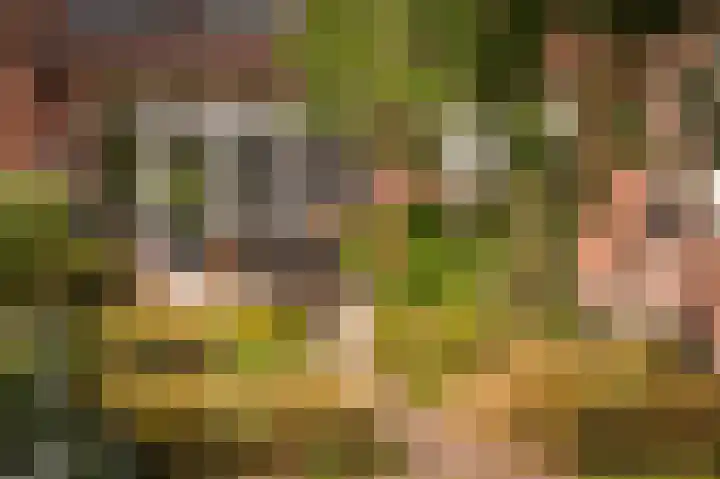 Harry Bolsiuslaan 8 Schijndel thumbnail 39