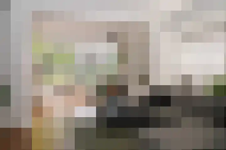 Harry Bolsiuslaan 8 Schijndel thumbnail 4