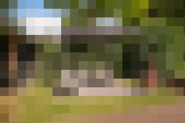 Harry Bolsiuslaan 8 Schijndel thumbnail 41