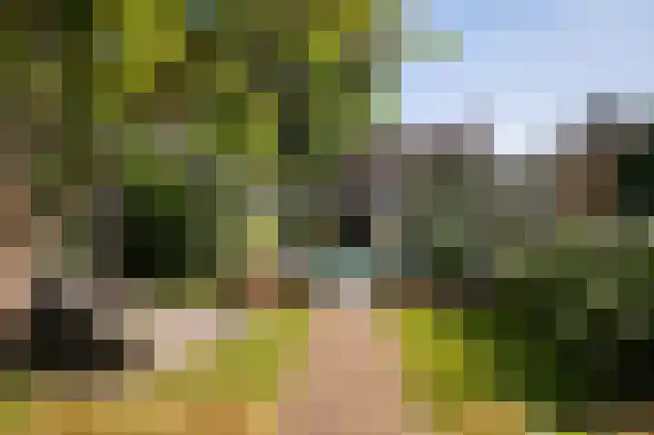 Harry Bolsiuslaan 8 Schijndel thumbnail 42