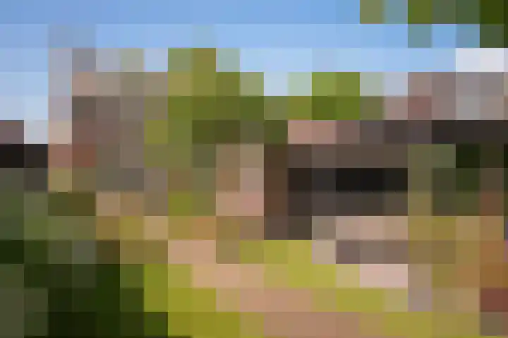 Harry Bolsiuslaan 8 Schijndel thumbnail 48