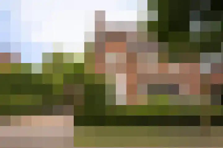 Harry Bolsiuslaan 8 Schijndel thumbnail 51