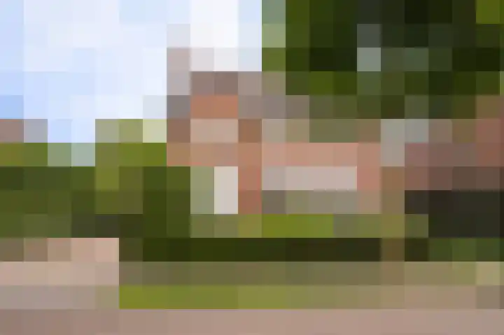 Harry Bolsiuslaan 8 Schijndel thumbnail 53