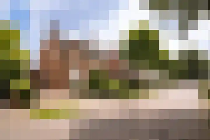 Harry Bolsiuslaan 8 Schijndel thumbnail 54