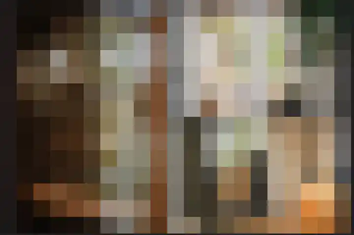 Harry Bolsiuslaan 8 Schijndel thumbnail 7