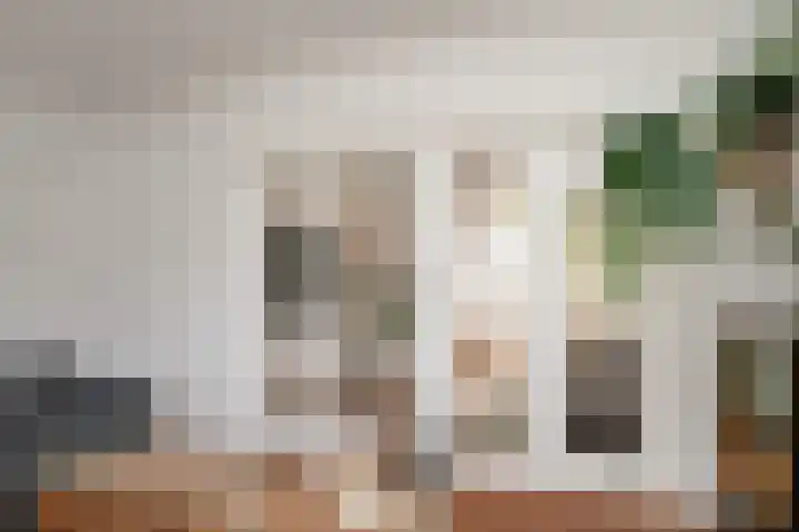 Harry Bolsiuslaan 8 Schijndel thumbnail 9