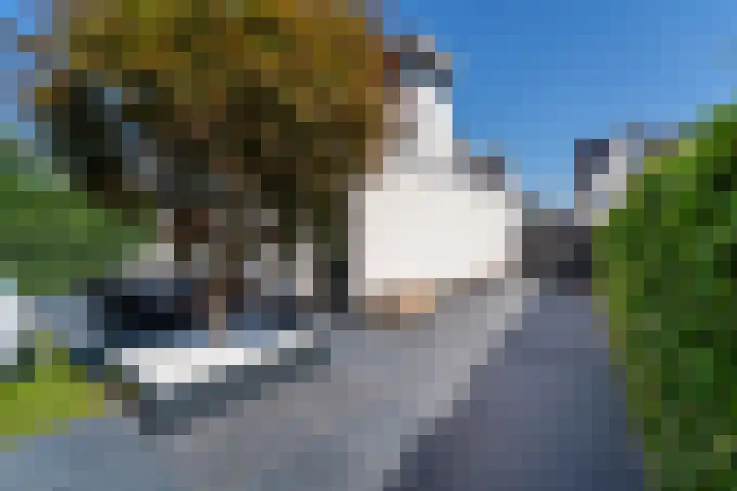 Harry Brooshof 8 Tilburg thumbnail 41