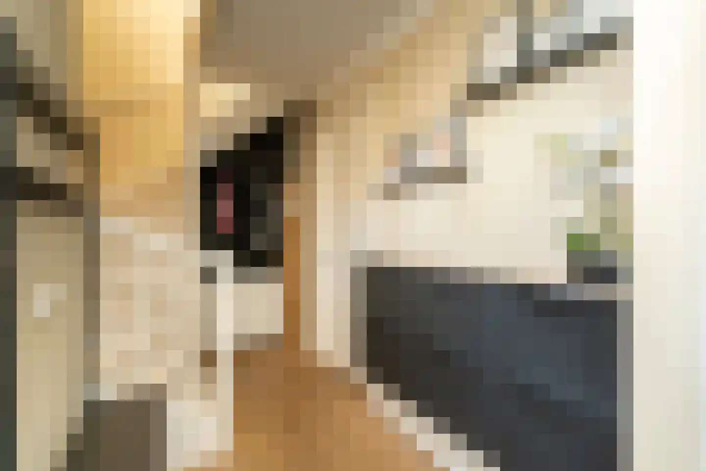 Harry Brooshof 8 Tilburg thumbnail 8