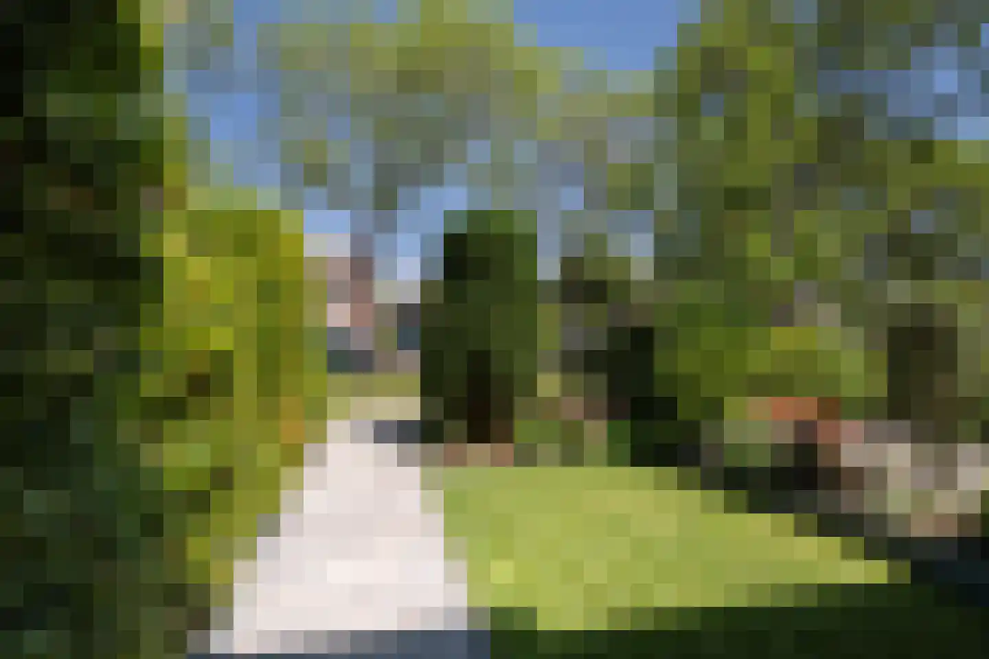 Harry Hoekstraat 102 Wateringen thumbnail 33