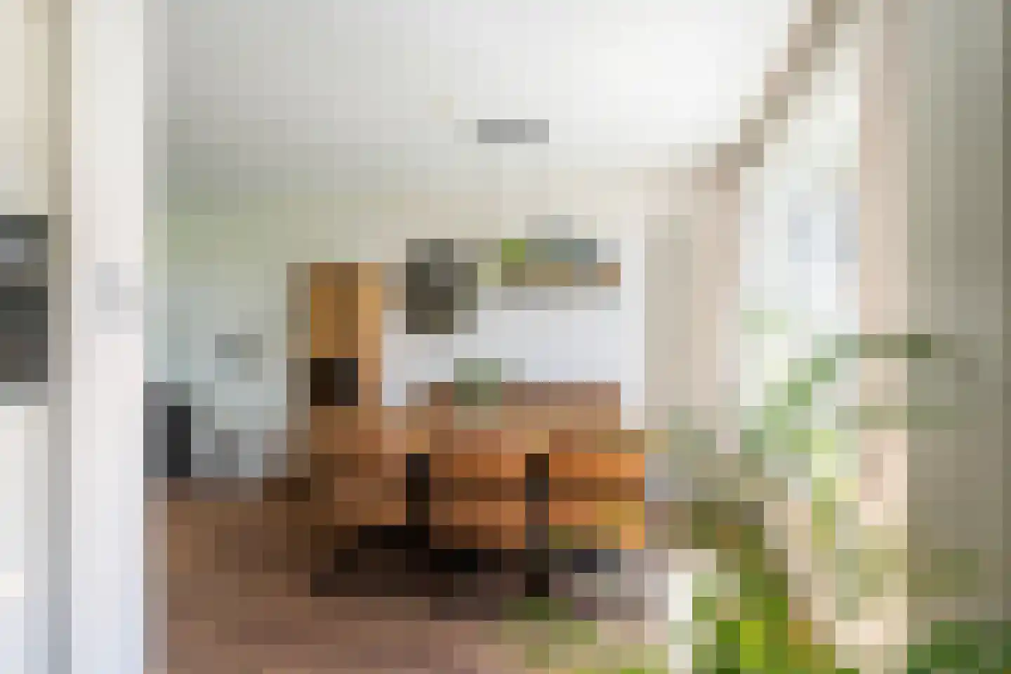 Harry Hoekstraat 102 Wateringen thumbnail 5