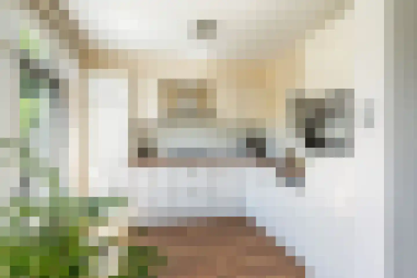 Harry Hoekstraat 102 Wateringen thumbnail 7