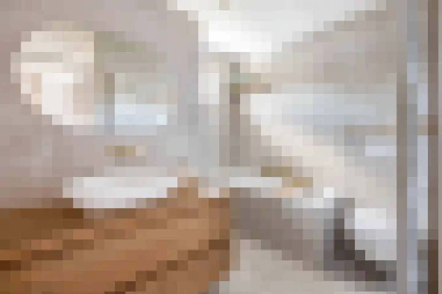 Harry Hollastraat 2 Venlo thumbnail 15