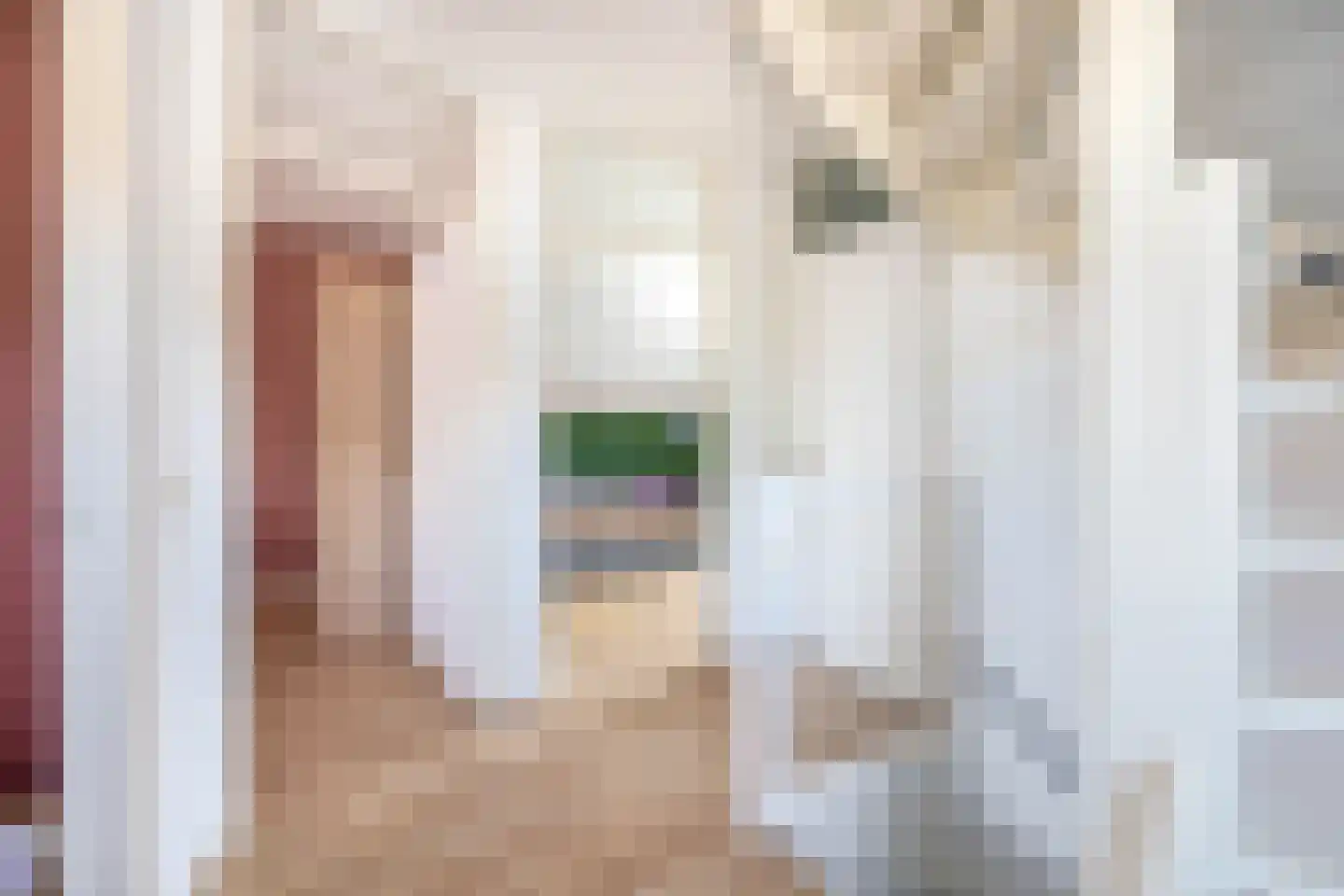 Harry Hollastraat 2 Venlo thumbnail 17