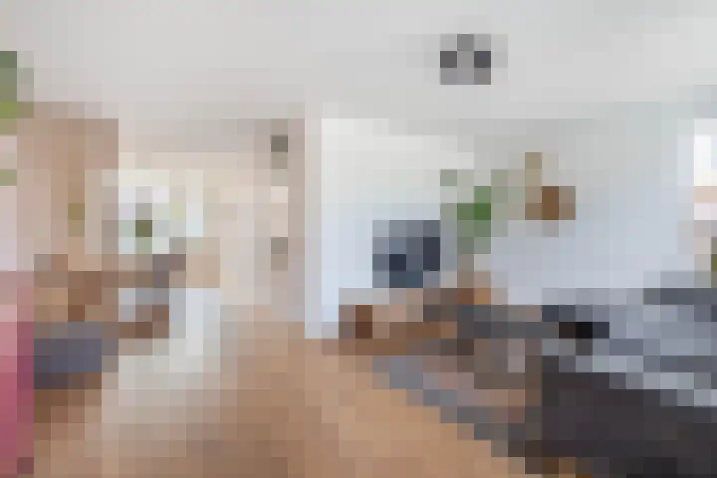 Harry Hollastraat 2 Venlo thumbnail 4