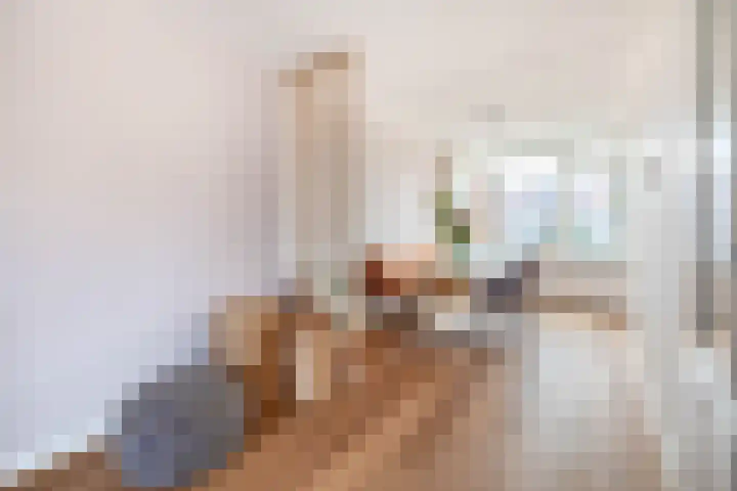 Harry Hollastraat 2 Venlo thumbnail 5