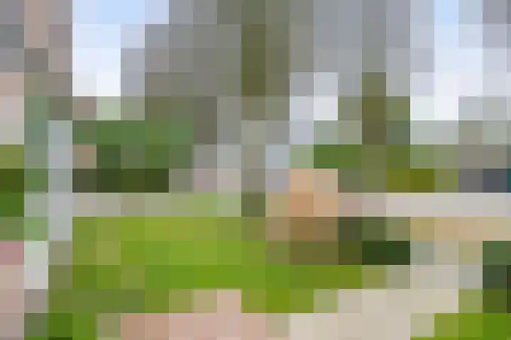 Harry Jansenlaan 21 Schijndel thumbnail 35