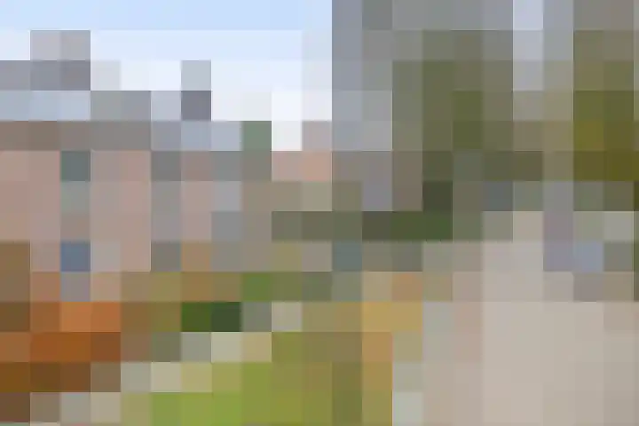 Harry Jansenlaan 21 Schijndel thumbnail 38