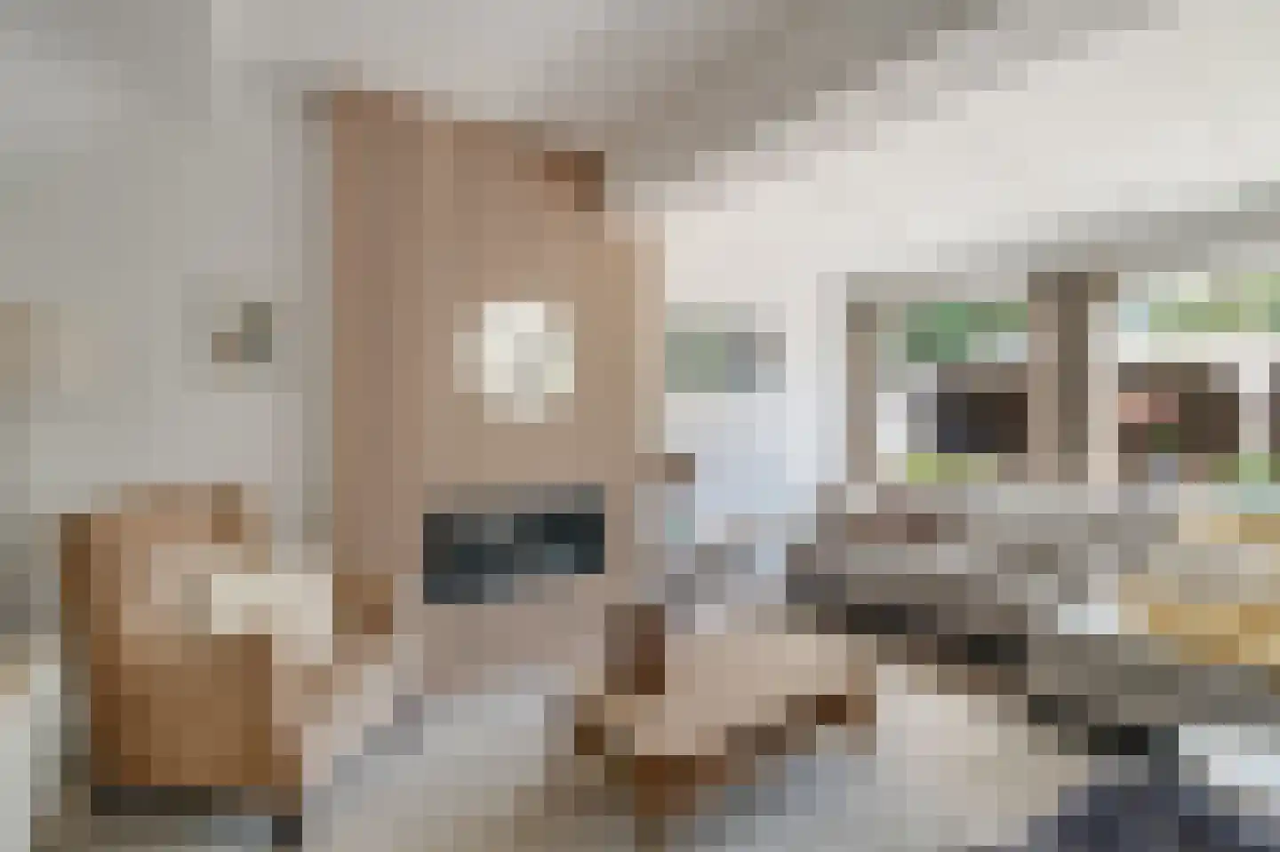 Harry Koningsbergerstraat 89 Amsterdam thumbnail 12