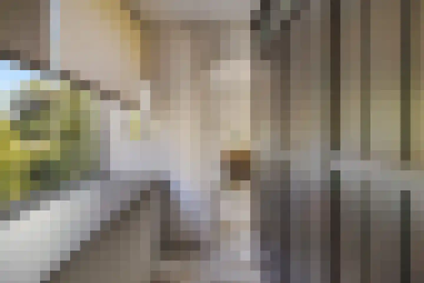 Harry Koningsbergerstraat 89 Amsterdam thumbnail 37