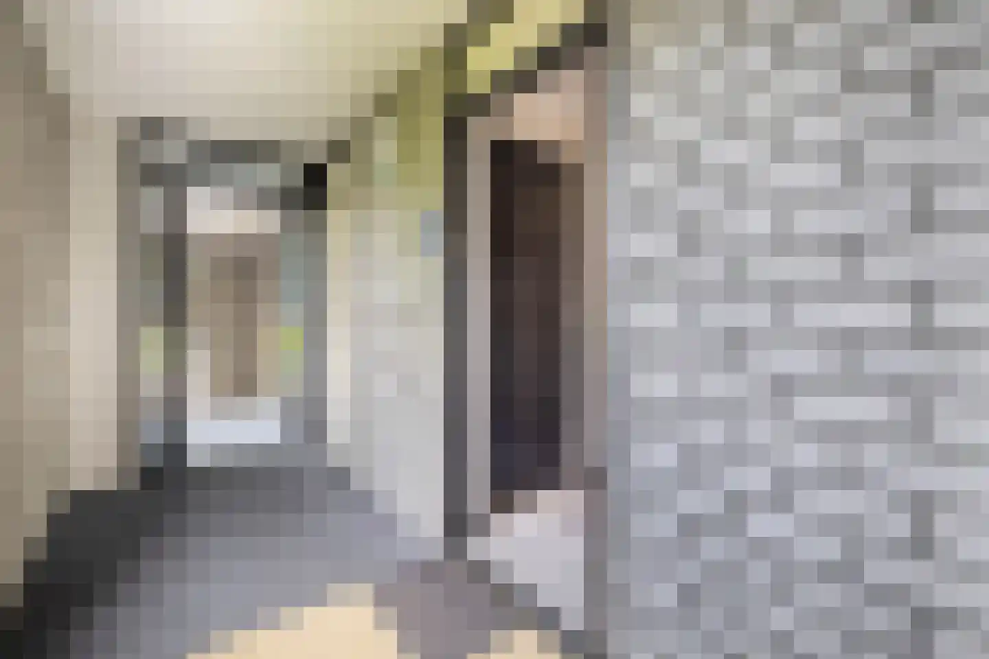 Harry Meijerstraat 97 Venlo thumbnail 20