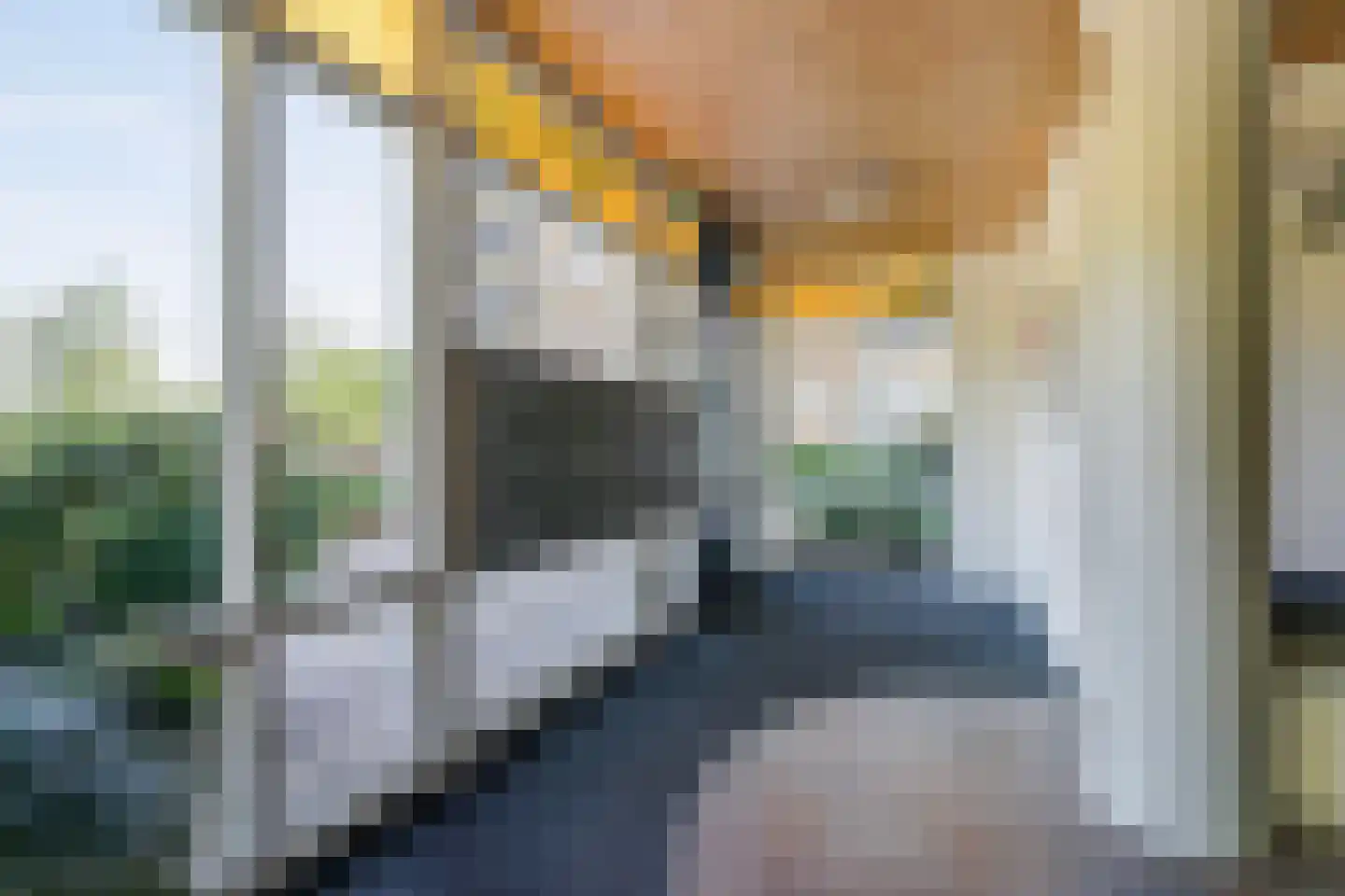 Harry Mulischstraat 10 Voorschoten thumbnail 41