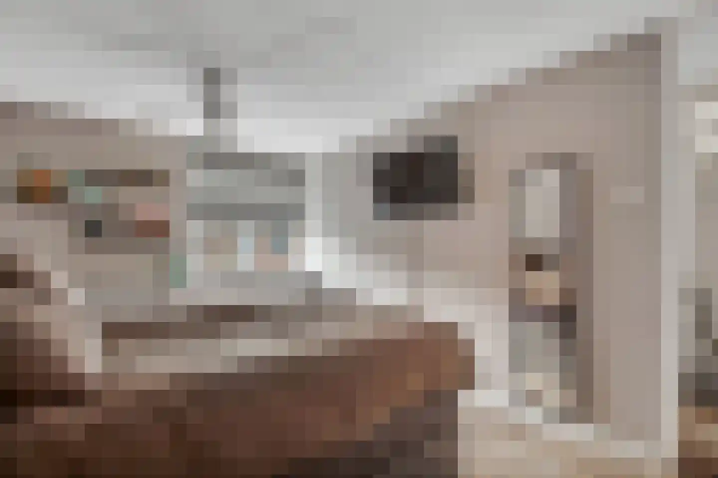 Harry Mulischstraat 11 Leiderdorp thumbnail 17
