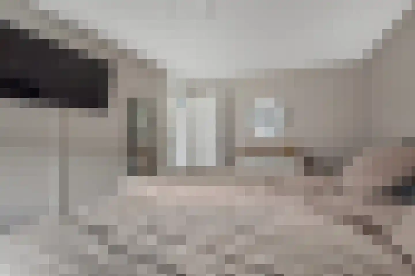 Harry Mulischstraat 11 Leiderdorp thumbnail 18