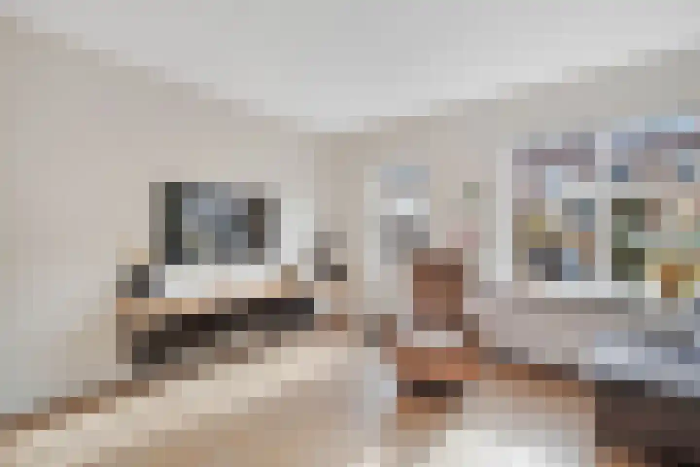 Harry Mulischstraat 11 Leiderdorp thumbnail 5