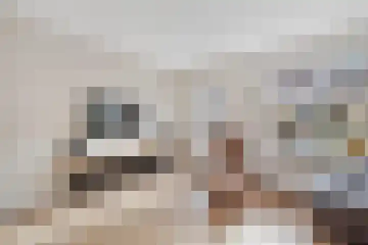 Harry Mulischstraat 11 Leiderdorp thumbnail 5