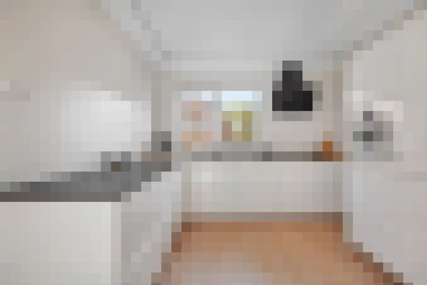 Harry Mulischstraat 11 Leiderdorp thumbnail 7