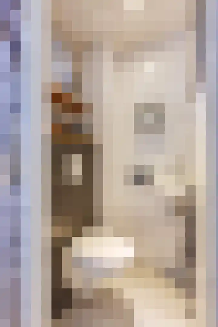 Harry Mulischstraat 16 Leiderdorp thumbnail 10