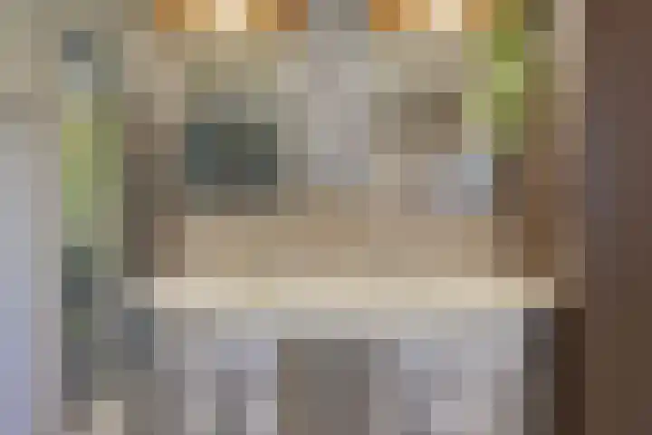 Harry Mulischstraat 16 Leiderdorp thumbnail 27