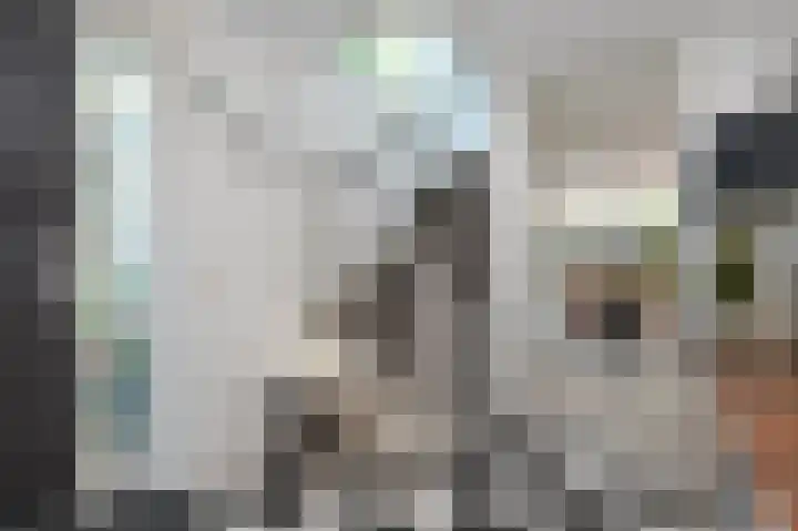 Harry Pauwlaan 2 Den Haag thumbnail 12