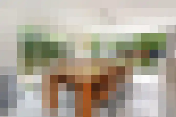 Harry Pauwlaan 2 Den Haag thumbnail 16