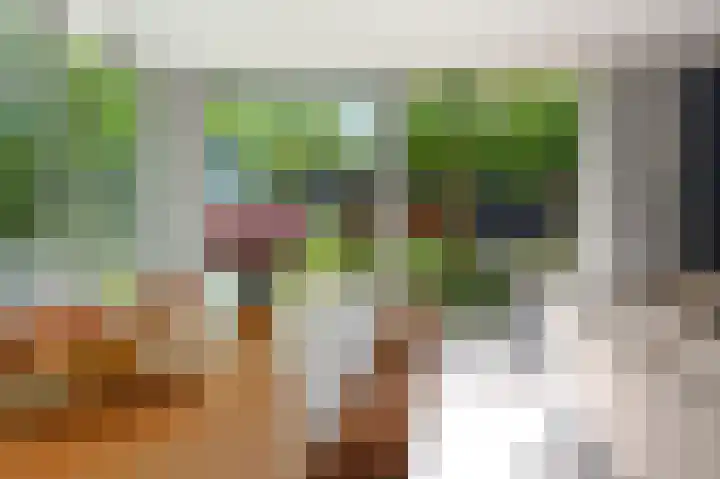 Harry Pauwlaan 2 Den Haag thumbnail 17