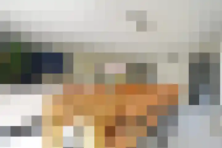 Harry Pauwlaan 2 Den Haag thumbnail 19