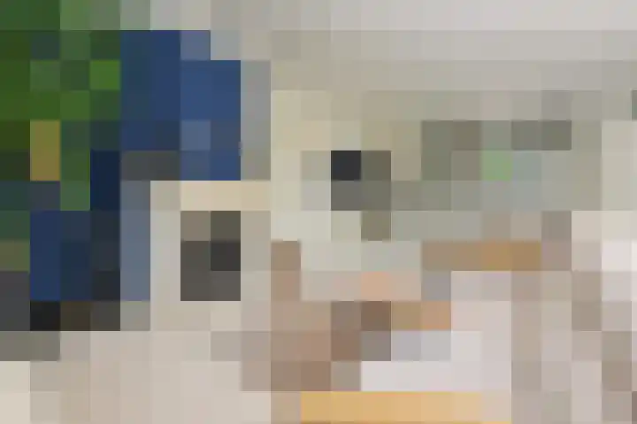Harry Pauwlaan 2 Den Haag thumbnail 21