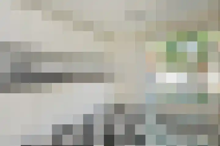 Harry Pauwlaan 2 Den Haag thumbnail 26
