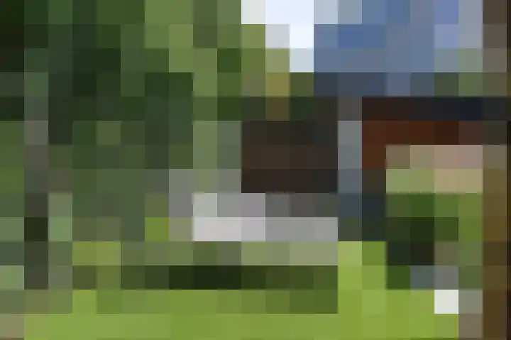 Harry Pauwlaan 2 Den Haag thumbnail 37