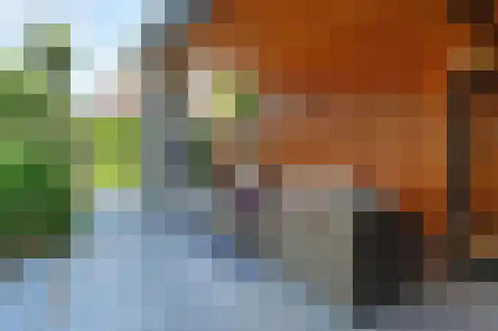 Harry Pauwlaan 2 Den Haag thumbnail 41